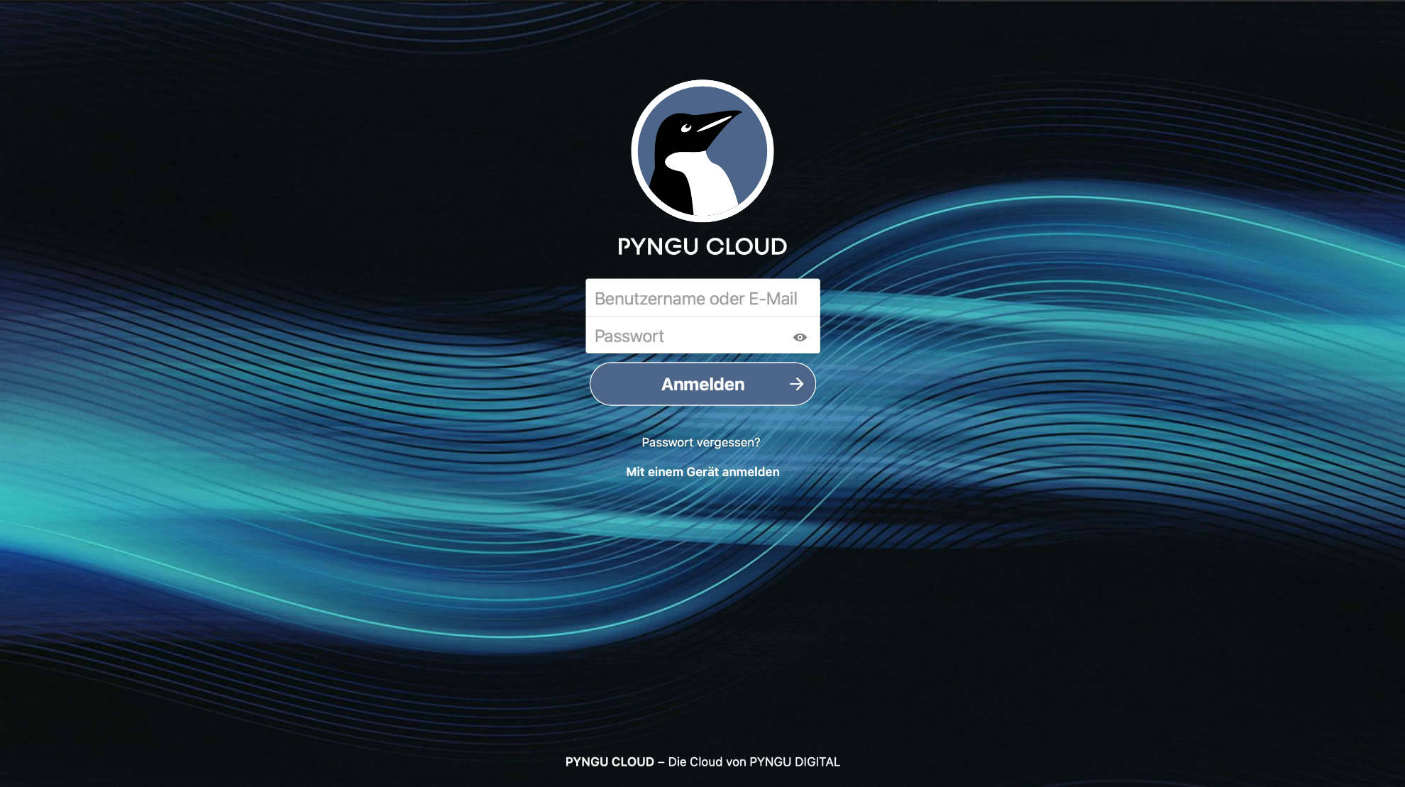 Pyngu Cloud Webseite