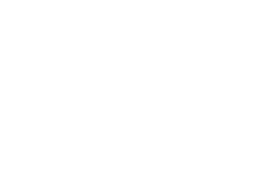 jitsi logo w