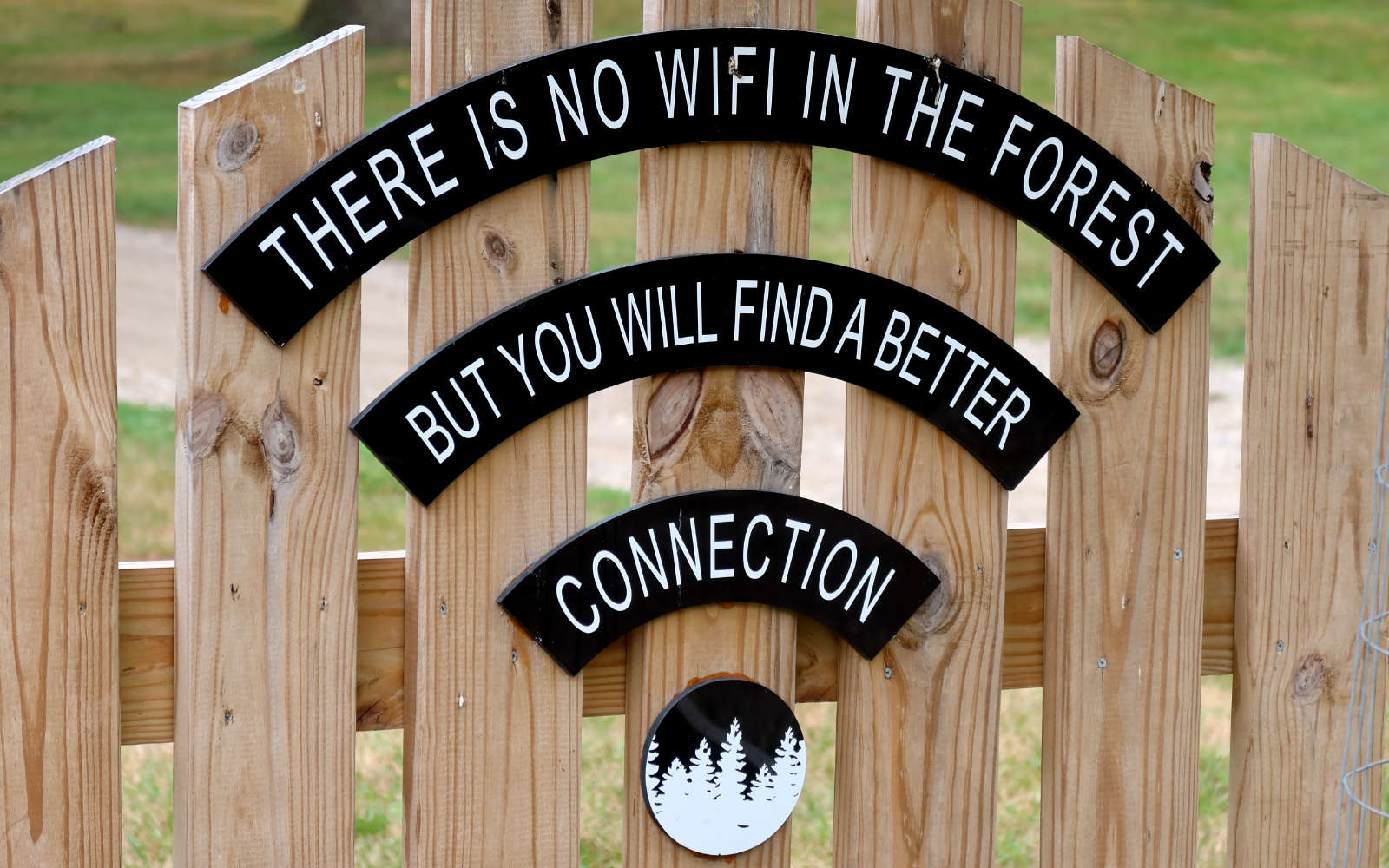 Wifi Forest